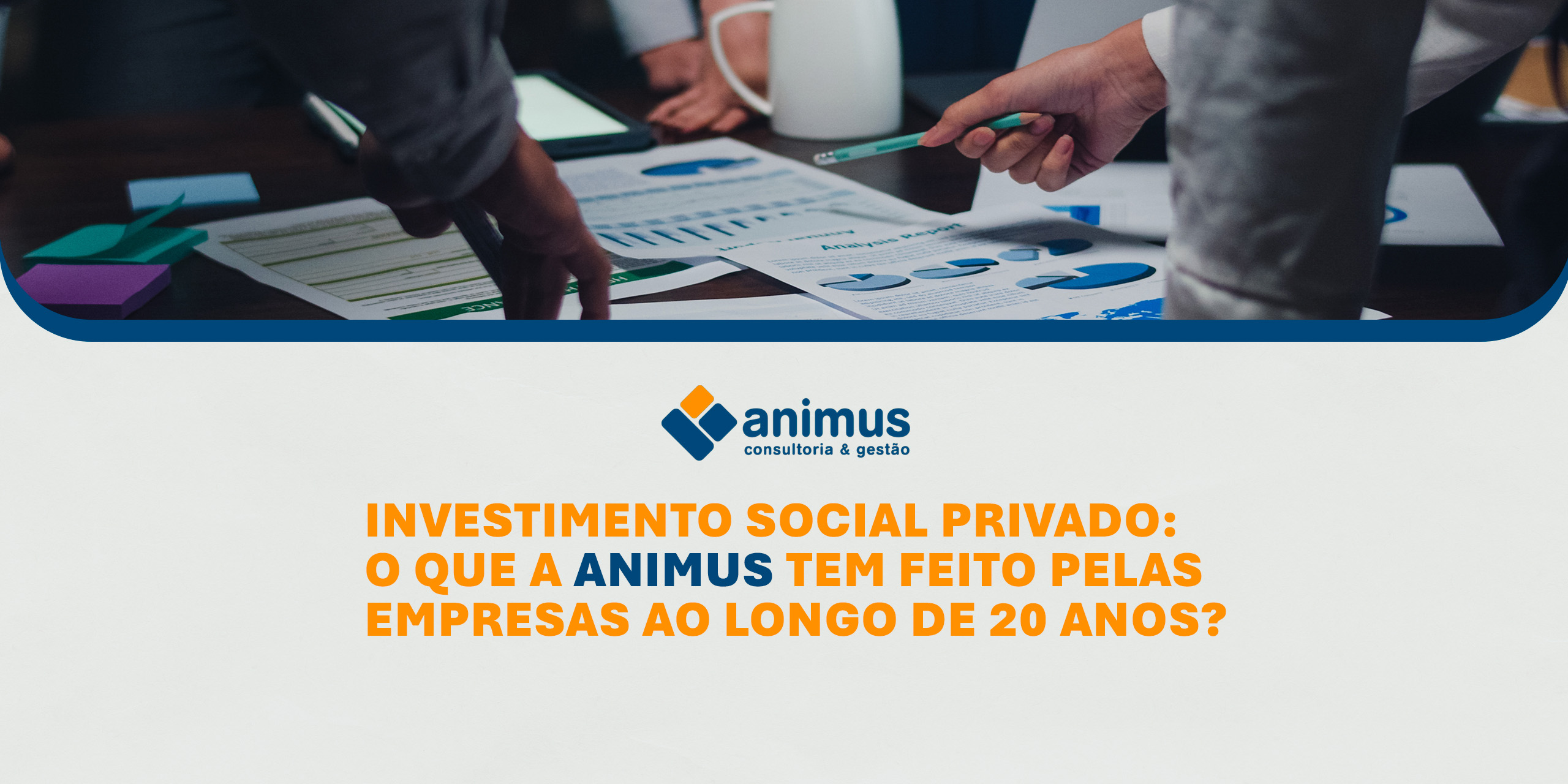 Investimento Social Privado – O que a Animus tem feito pelas empresas ao longo de 20 anos (2)